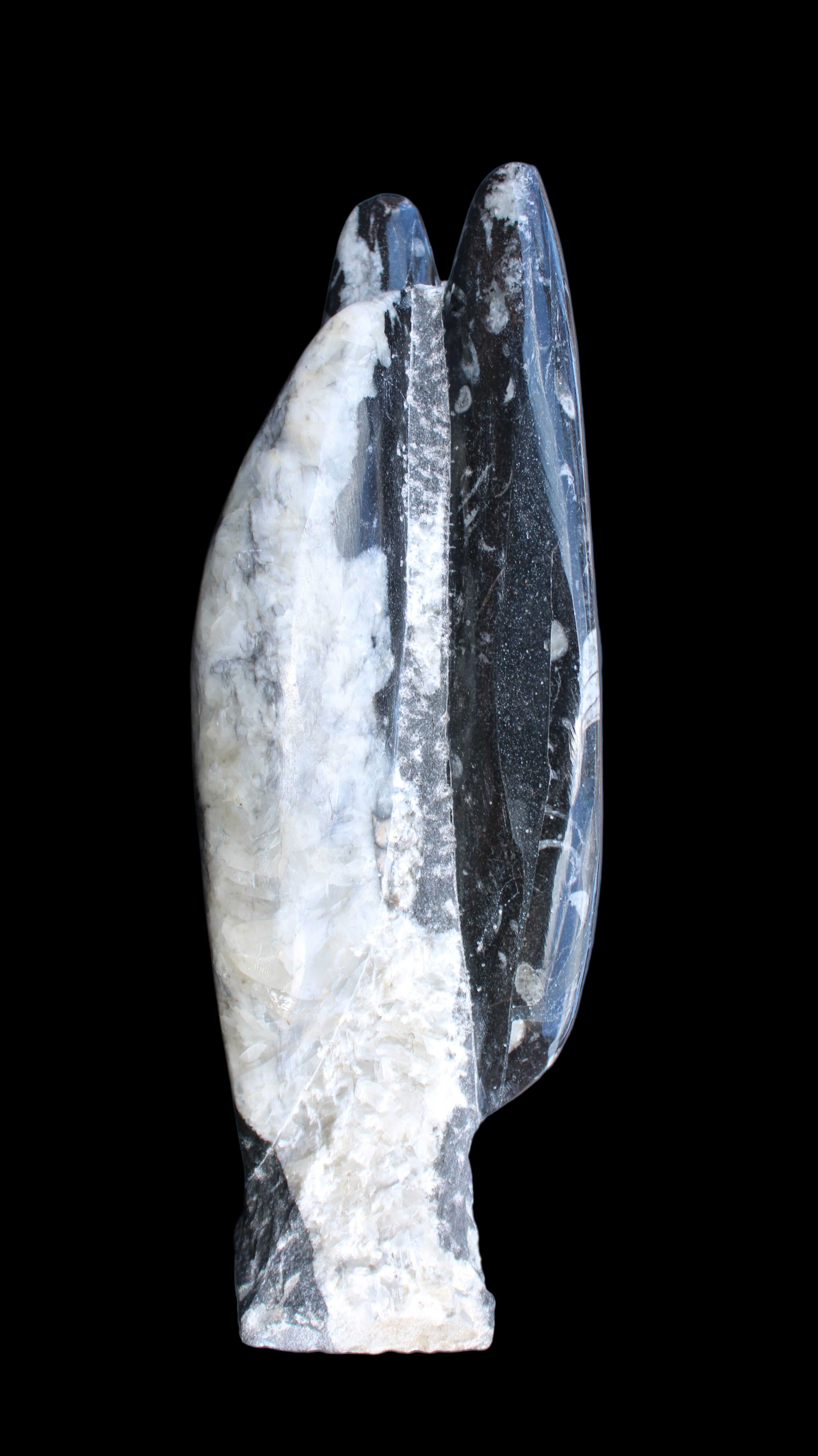 Orthoceras sculpture tower from Morocco 260*90mm 1770g in sunlight - Rocks and Things Store