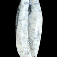 Orthoceras sculpture tower from Morocco 260*90mm 1770g in sunlight - Rocks and Things Store