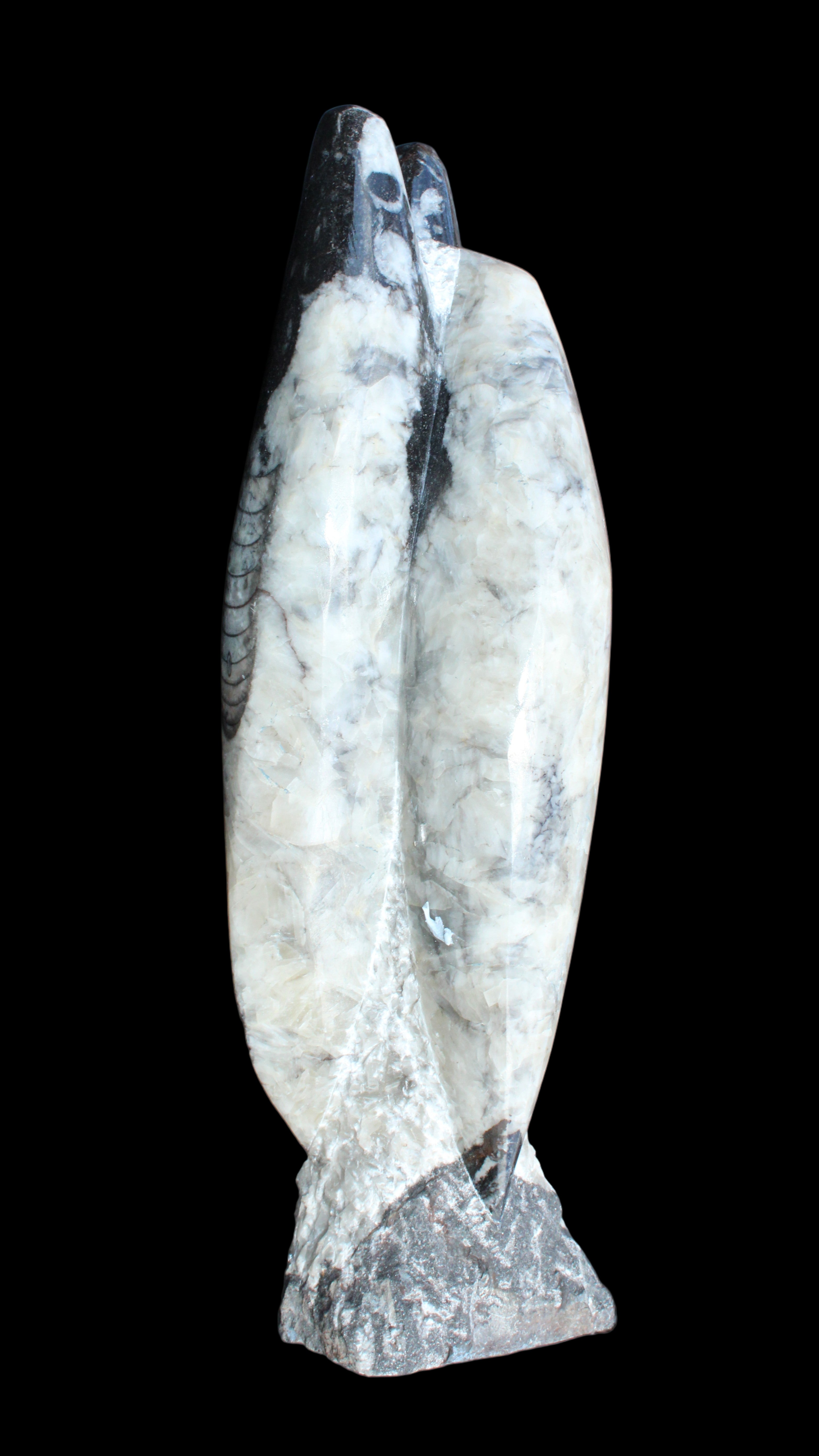 Orthoceras sculpture tower from Morocco 260*90mm 1770g in sunlight - Rocks and Things Store