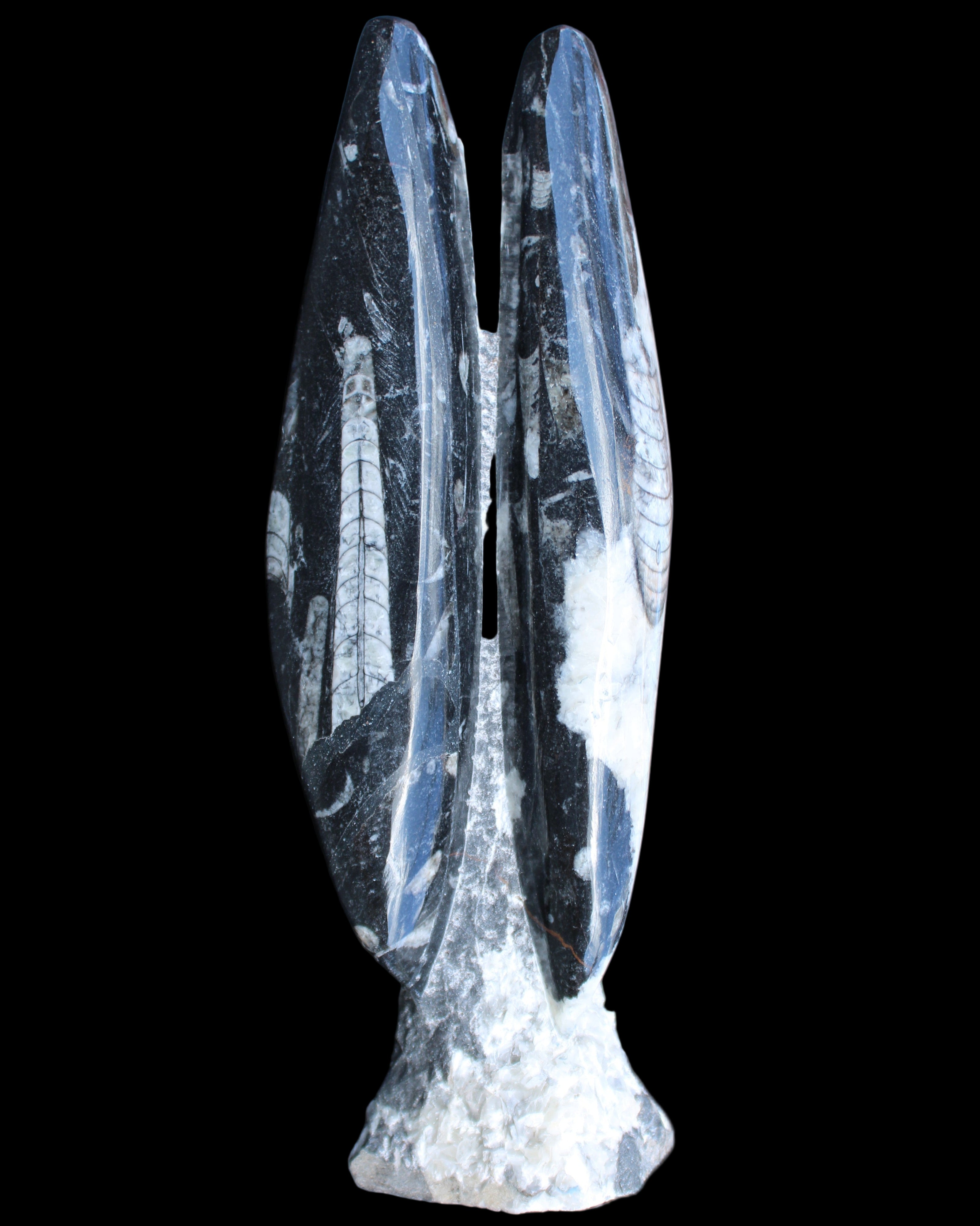 Orthoceras sculpture tower from Morocco 260*90mm 1770g in sunlight - Rocks and Things Store