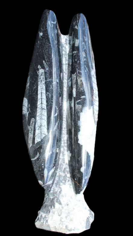 Orthoceras sculpture tower from Morocco 260*90mm 1770g in sunlight - Rocks and Things Store