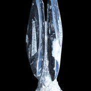 Orthoceras sculpture tower from Morocco 260*90mm 1770g in sunlight - Rocks and Things Store