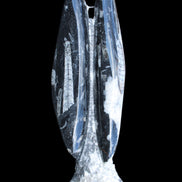 Orthoceras sculpture tower from Morocco 260*90mm 1770g in sunlight - Rocks and Things Store