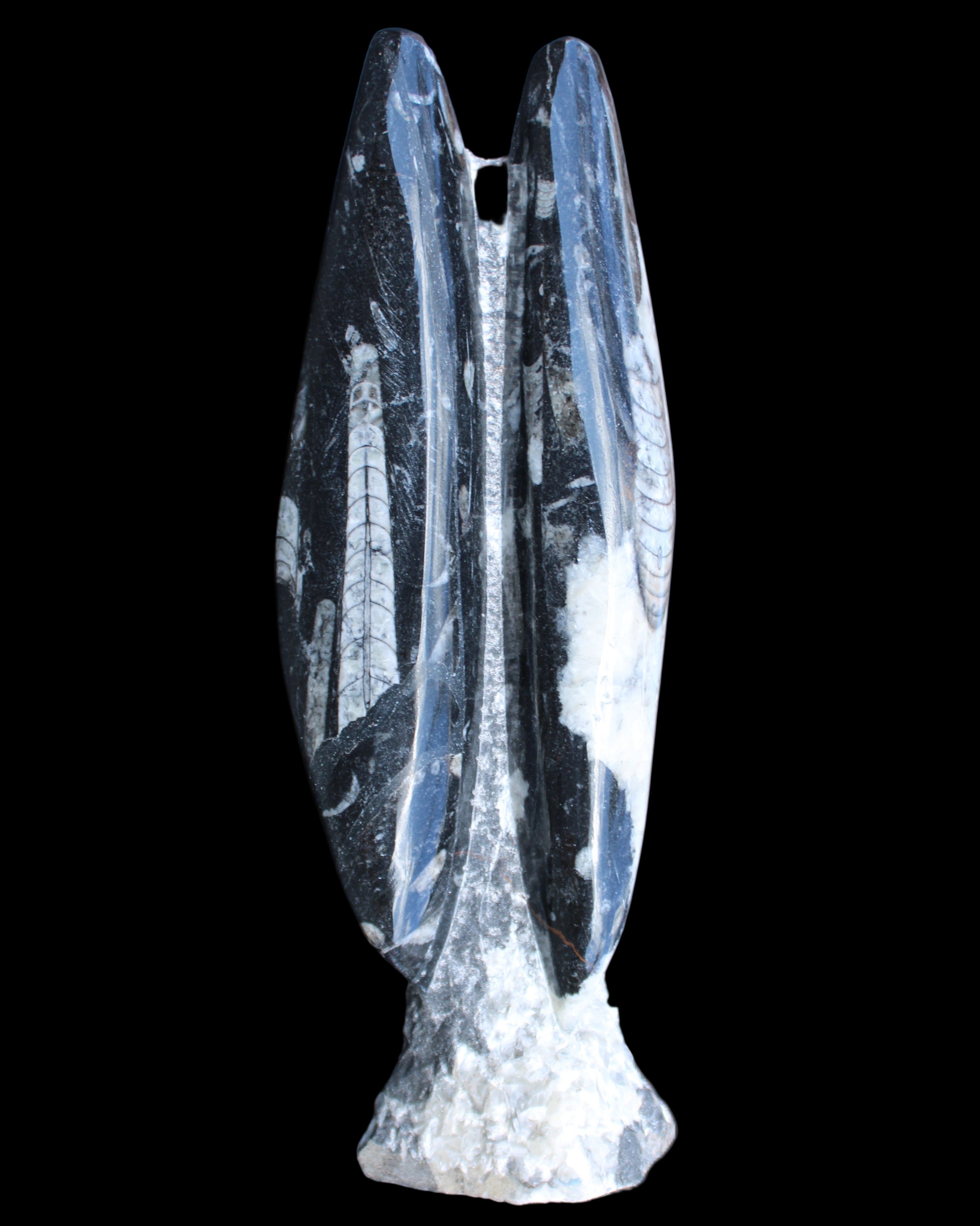 Orthoceras sculpture tower from Morocco 260*90mm 1770g in sunlight - Rocks and Things Store