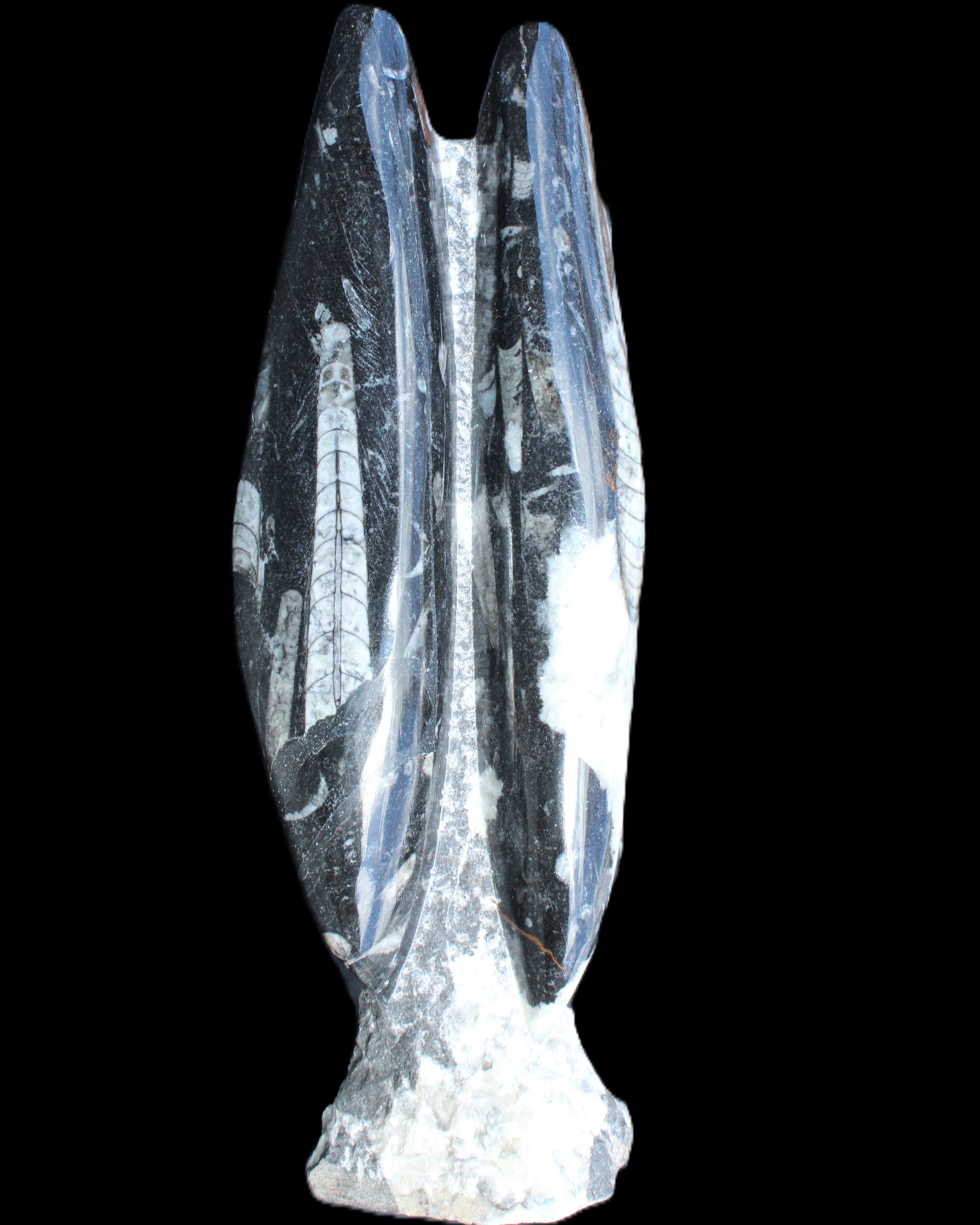 Orthoceras sculpture tower from Morocco 260*90mm 1770g in sunlight - Rocks and Things Store