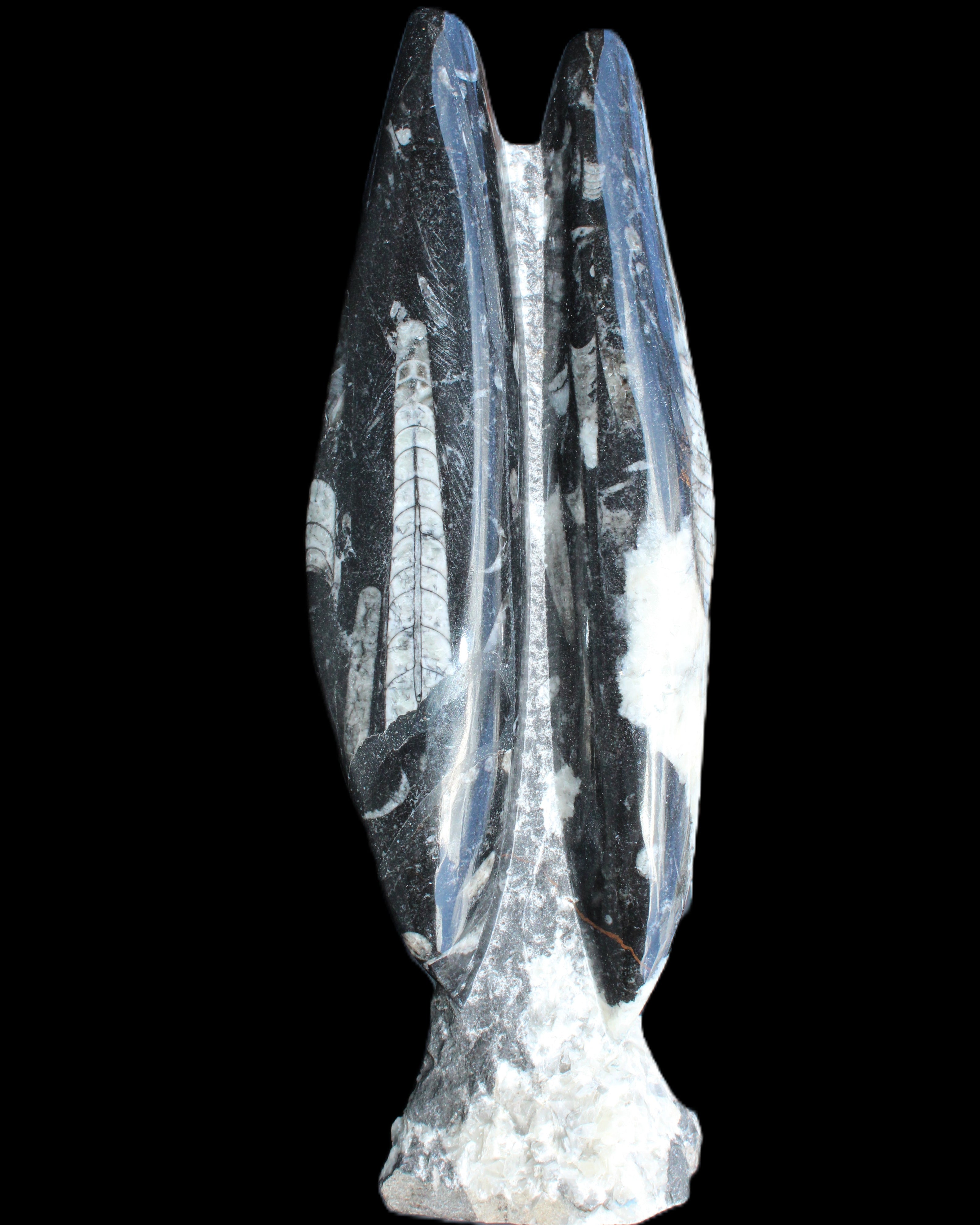 Orthoceras sculpture tower from Morocco 260*90mm 1770g in sunlight - Rocks and Things Store