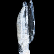 Orthoceras sculpture tower from Morocco 260*90mm 1770g in sunlight - Rocks and Things Store