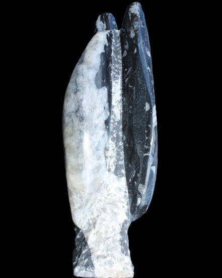 Orthoceras sculpture tower from Morocco 260*90mm 1770g in sunlight - Rocks and Things Store