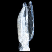 Orthoceras sculpture tower from Morocco 260*90mm 1770g in sunlight - Rocks and Things Store