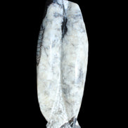 Orthoceras sculpture tower from Morocco 260*90mm 1770g in sunlight - Rocks and Things Store