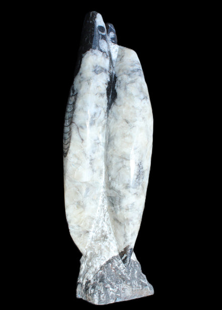 Orthoceras sculpture tower from Morocco 260*90mm 1770g in sunlight - Rocks and Things Store