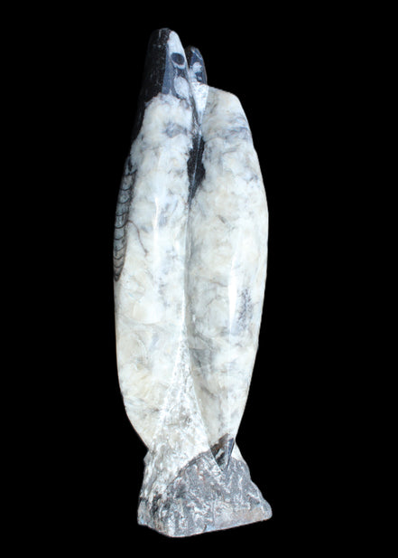 Orthoceras sculpture tower from Morocco 260*90mm 1770g in sunlight - Rocks and Things Store
