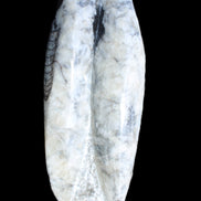 Orthoceras sculpture tower from Morocco 260*90mm 1770g in sunlight - Rocks and Things Store