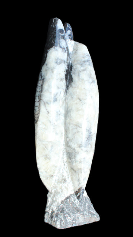Orthoceras sculpture tower from Morocco 260*90mm 1770g in sunlight - Rocks and Things Store