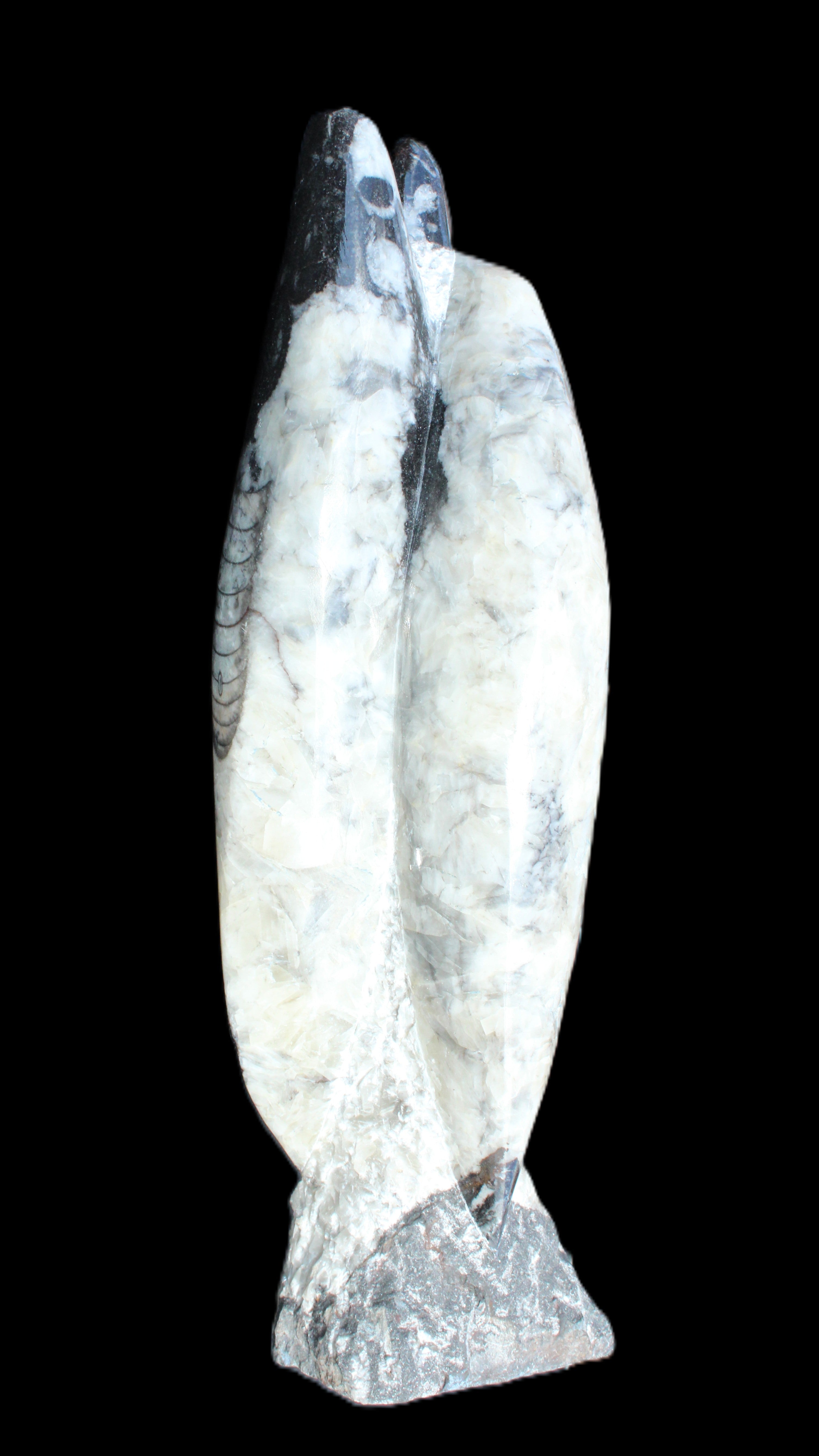 Orthoceras sculpture tower from Morocco 260*90mm 1770g in sunlight - Rocks and Things Store