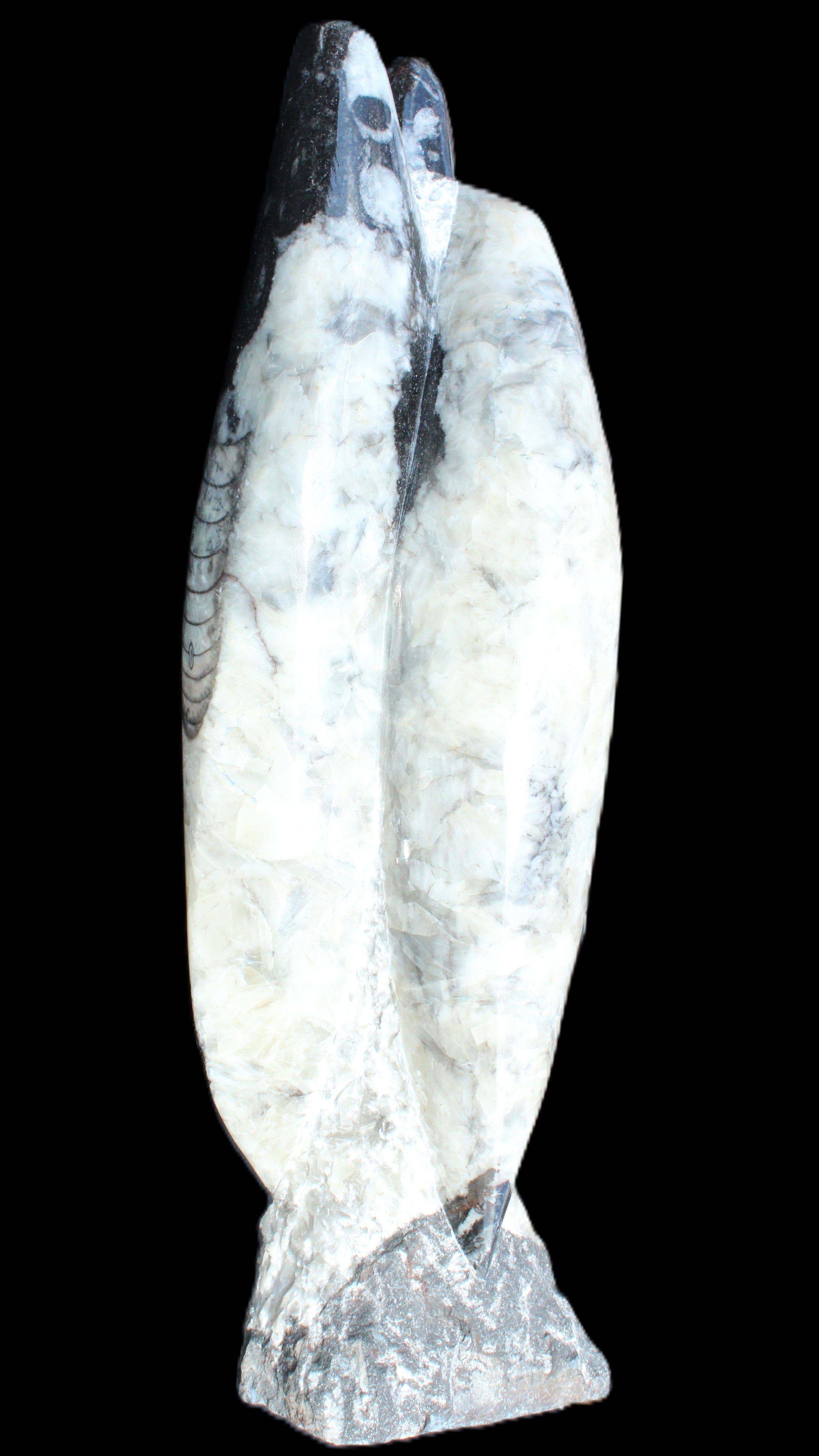 Orthoceras sculpture tower from Morocco 260*90mm 1770g in sunlight - Rocks and Things Store