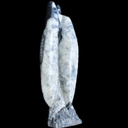 Orthoceras sculpture tower from Morocco 260*90mm 1770g in sunlight - Rocks and Things Store