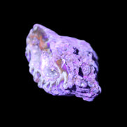 Purplish Electroplated Agate Quartz geodes 48-52mm 48-69g in sunlight - Rocks and Things Store