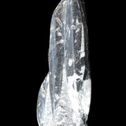 Orthoceras sculpture tower from Morocco 239*75mm 1616g in sunlight - Rocks and Things Store