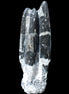 Orthoceras sculpture tower from Morocco 239*75mm 1616g in sunlight - Rocks and Things Store