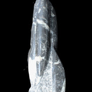 Orthoceras sculpture tower from Morocco 239*75mm 1616g in sunlight - Rocks and Things Store