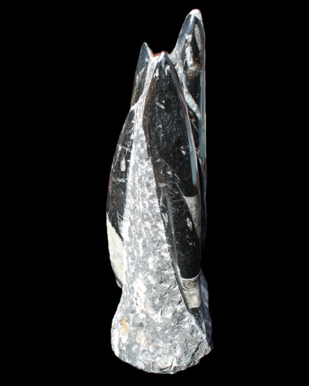 Orthoceras sculpture tower from Morocco 198*95mm 1582g in sunlight - Rocks and Things Store
