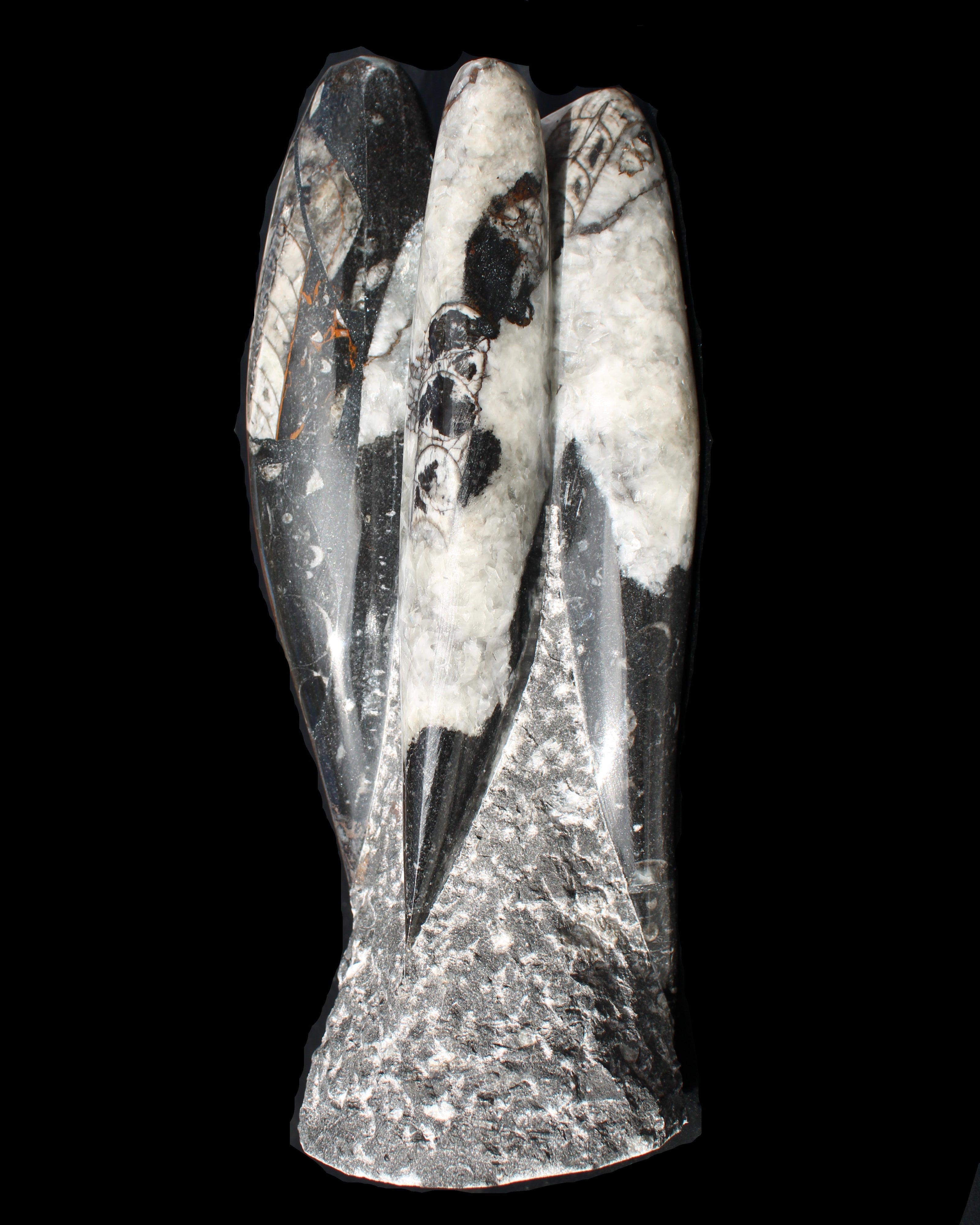 Orthoceras sculpture tower from Morocco 229*80mm 2313g in sunlight - Rocks and Things Store