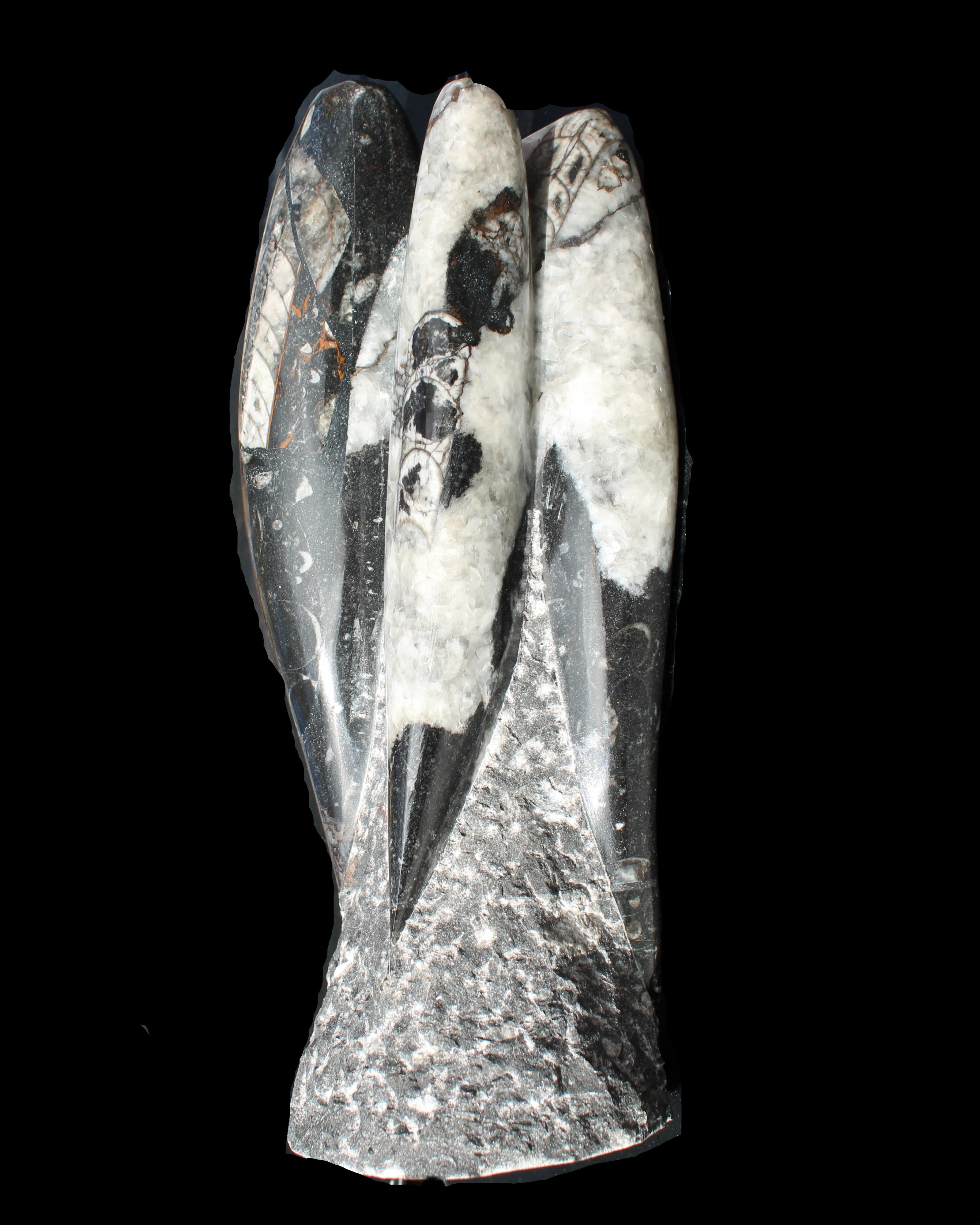 Orthoceras sculpture tower from Morocco 229*80mm 2313g in sunlight - Rocks and Things Store