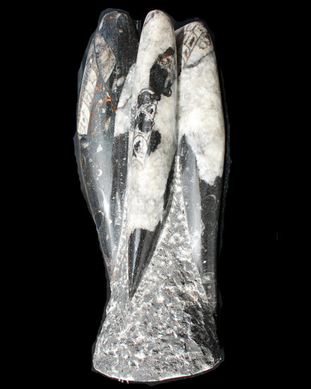 Orthoceras sculpture tower from Morocco 229*80mm 2313g in sunlight - Rocks and Things Store
