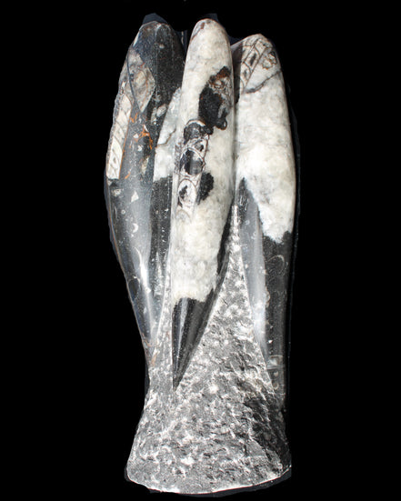 Orthoceras sculpture tower from Morocco 229*80mm 2313g in sunlight - Rocks and Things Store