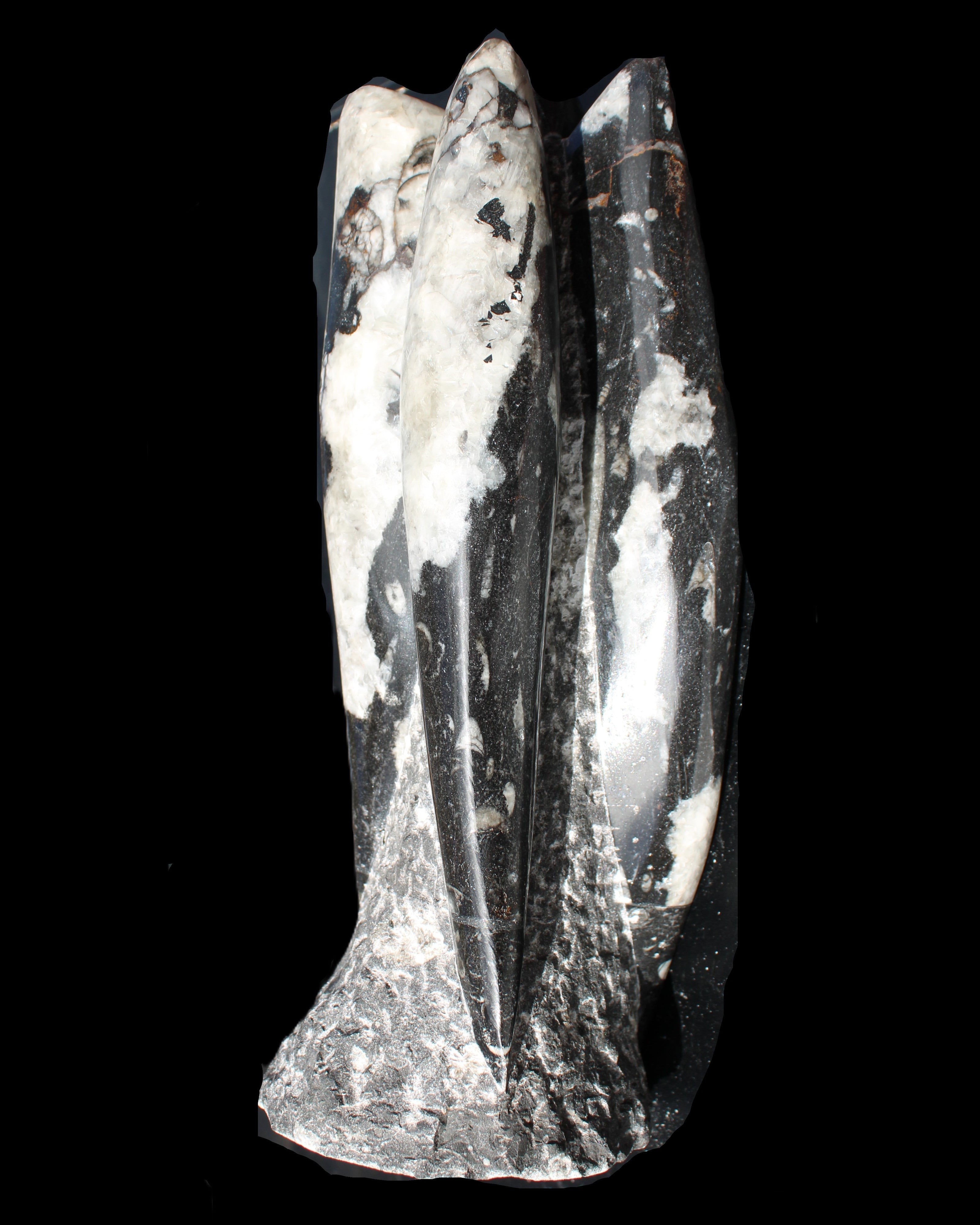 Orthoceras sculpture tower from Morocco 229*80mm 2313g in sunlight - Rocks and Things Store
