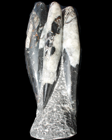 Orthoceras sculpture tower from Morocco 229*80mm 2313g in sunlight - Rocks and Things Store
