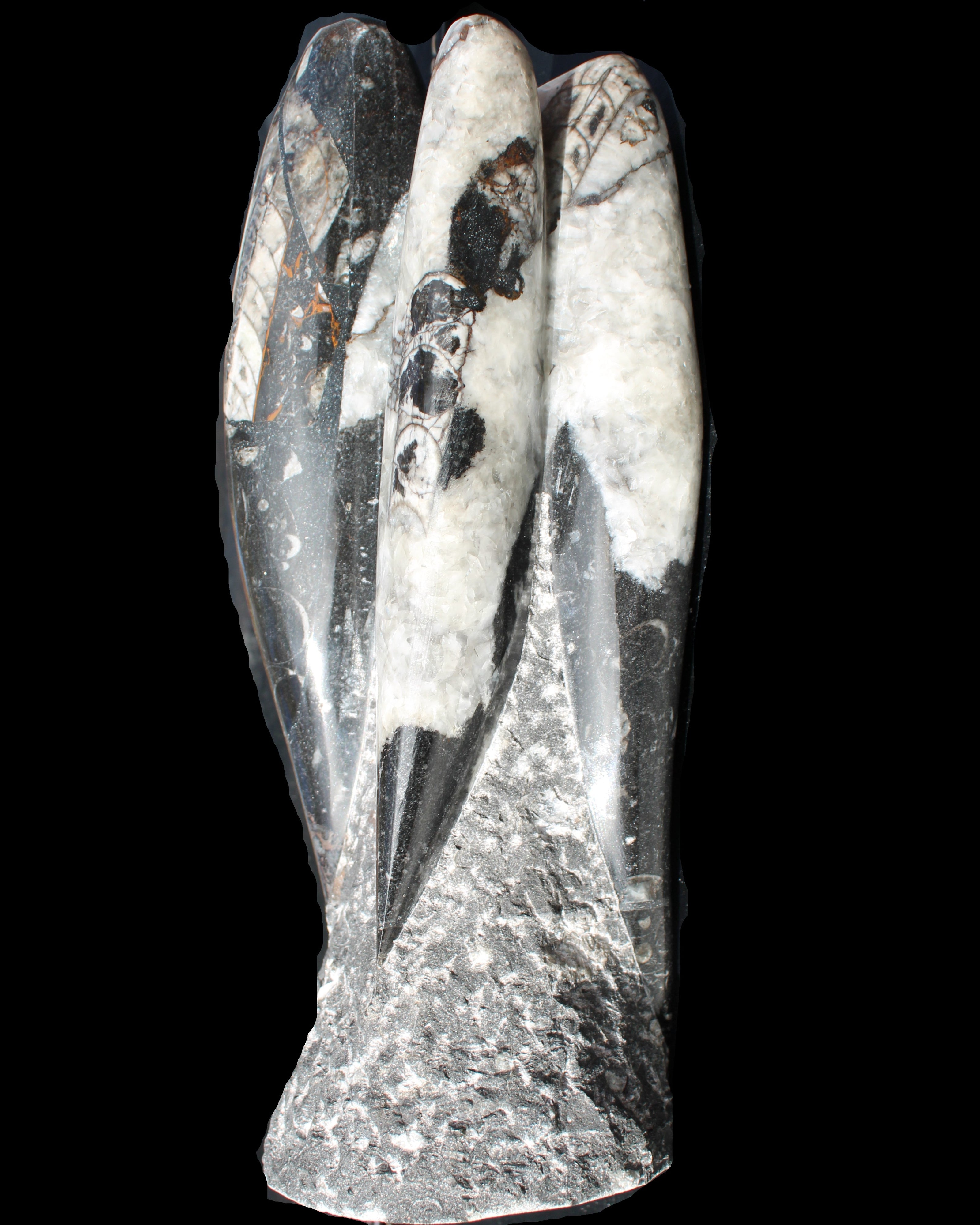 Orthoceras sculpture tower from Morocco 229*80mm 2313g in sunlight - Rocks and Things Store