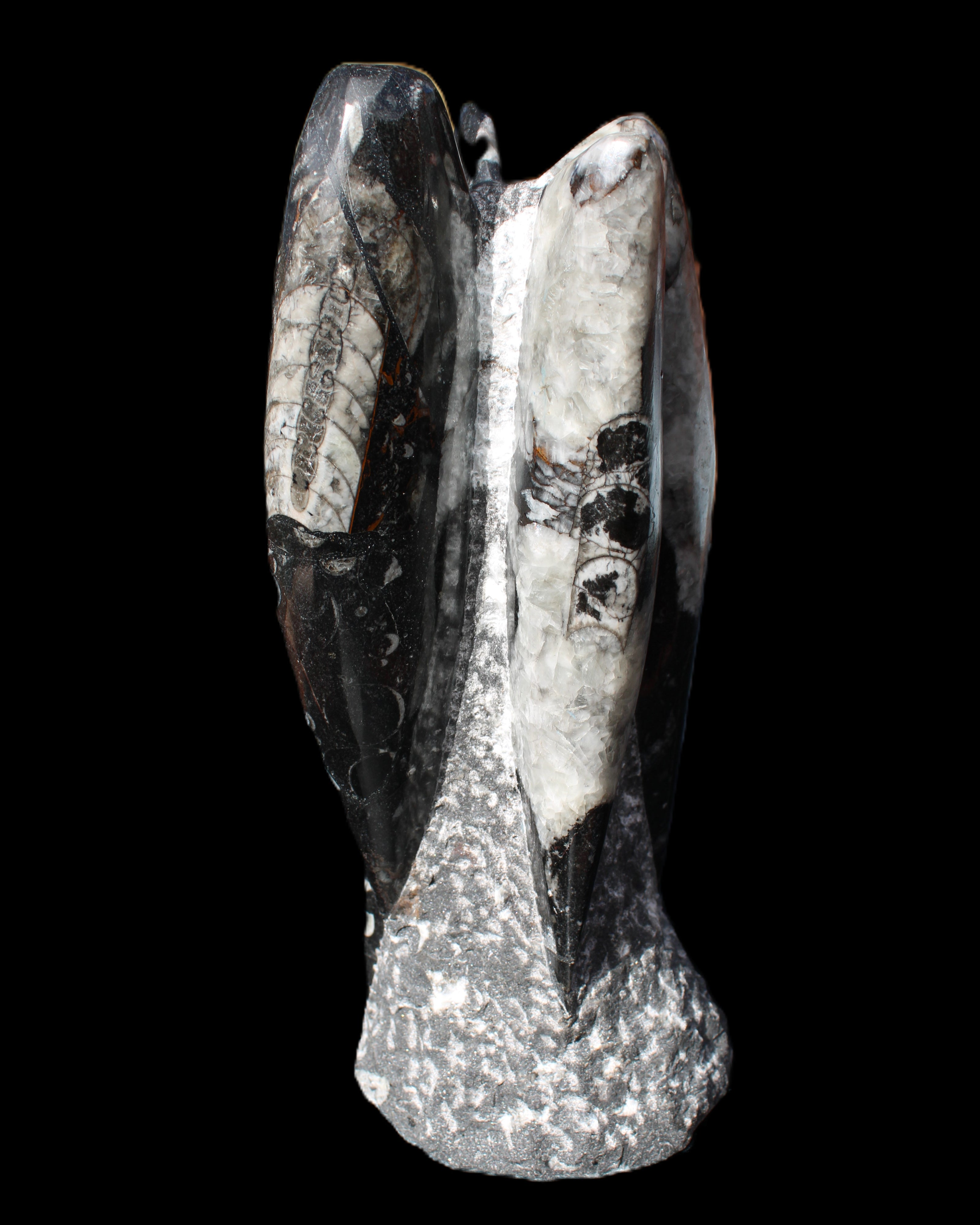 Orthoceras sculpture tower from Morocco 229*80mm 2313g in sunlight - Rocks and Things Store