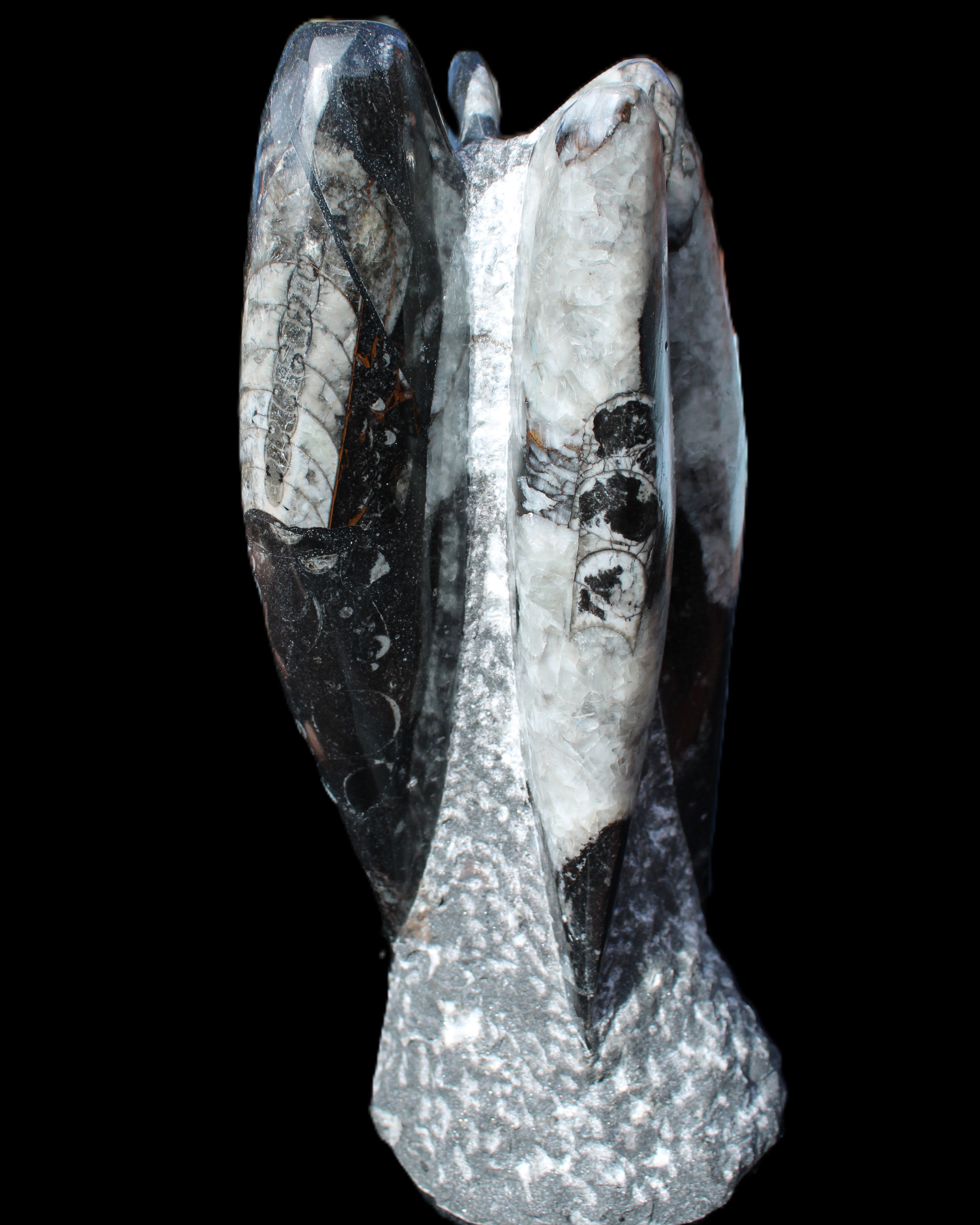 Orthoceras sculpture tower from Morocco 229*80mm 2313g in sunlight - Rocks and Things Store