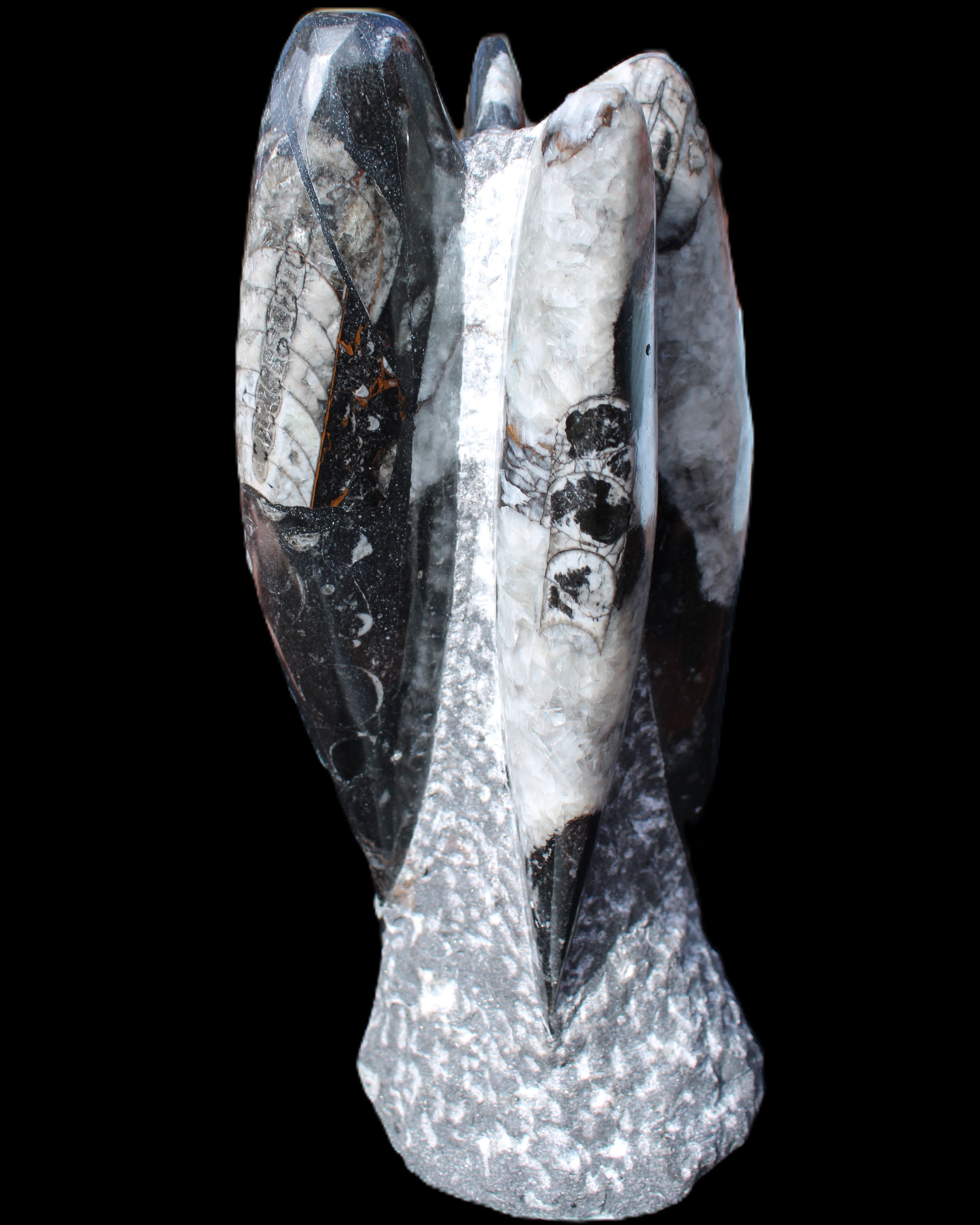 Orthoceras sculpture tower from Morocco 229*80mm 2313g in sunlight - Rocks and Things Store