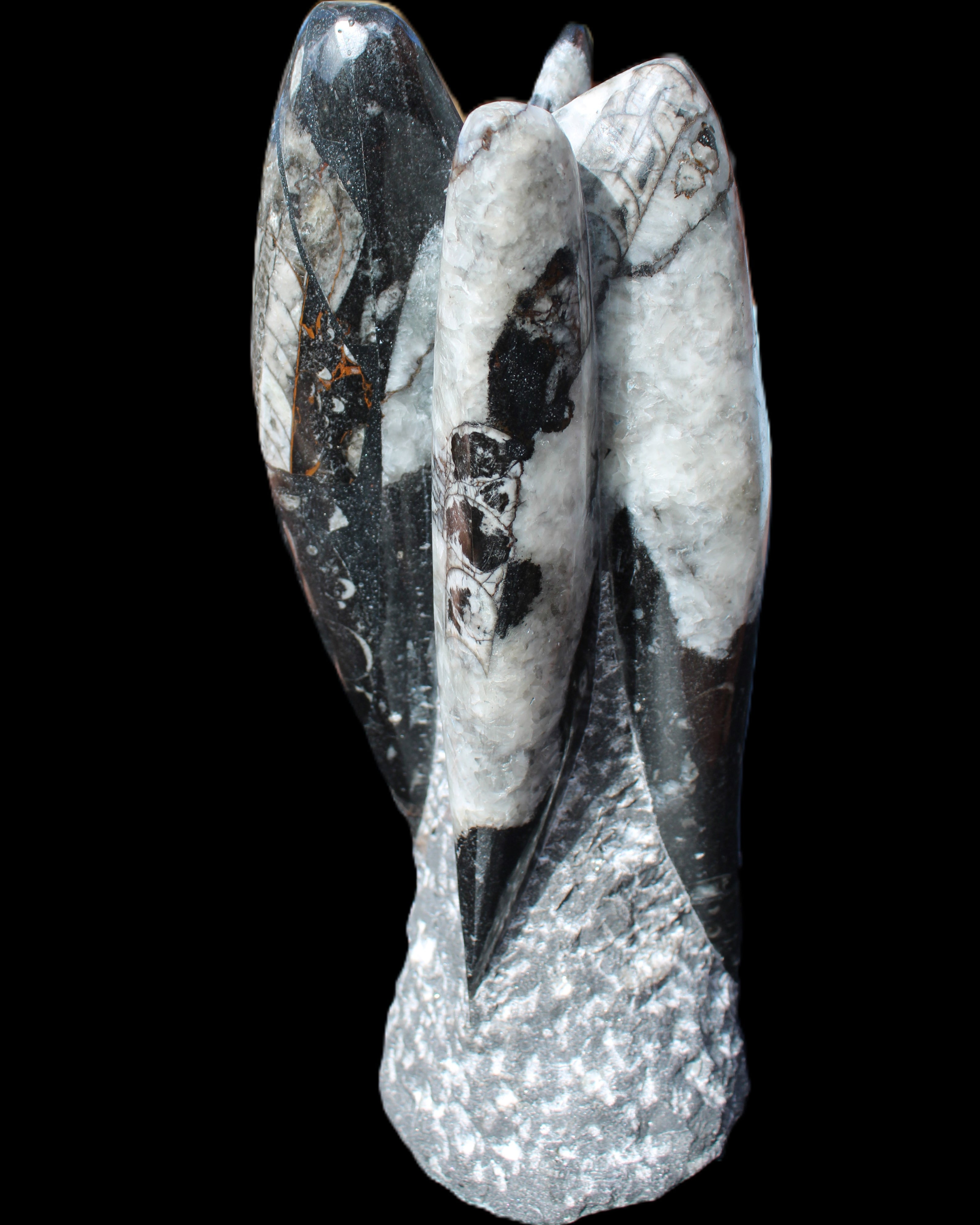 Orthoceras sculpture tower from Morocco 229*80mm 2313g in sunlight - Rocks and Things Store