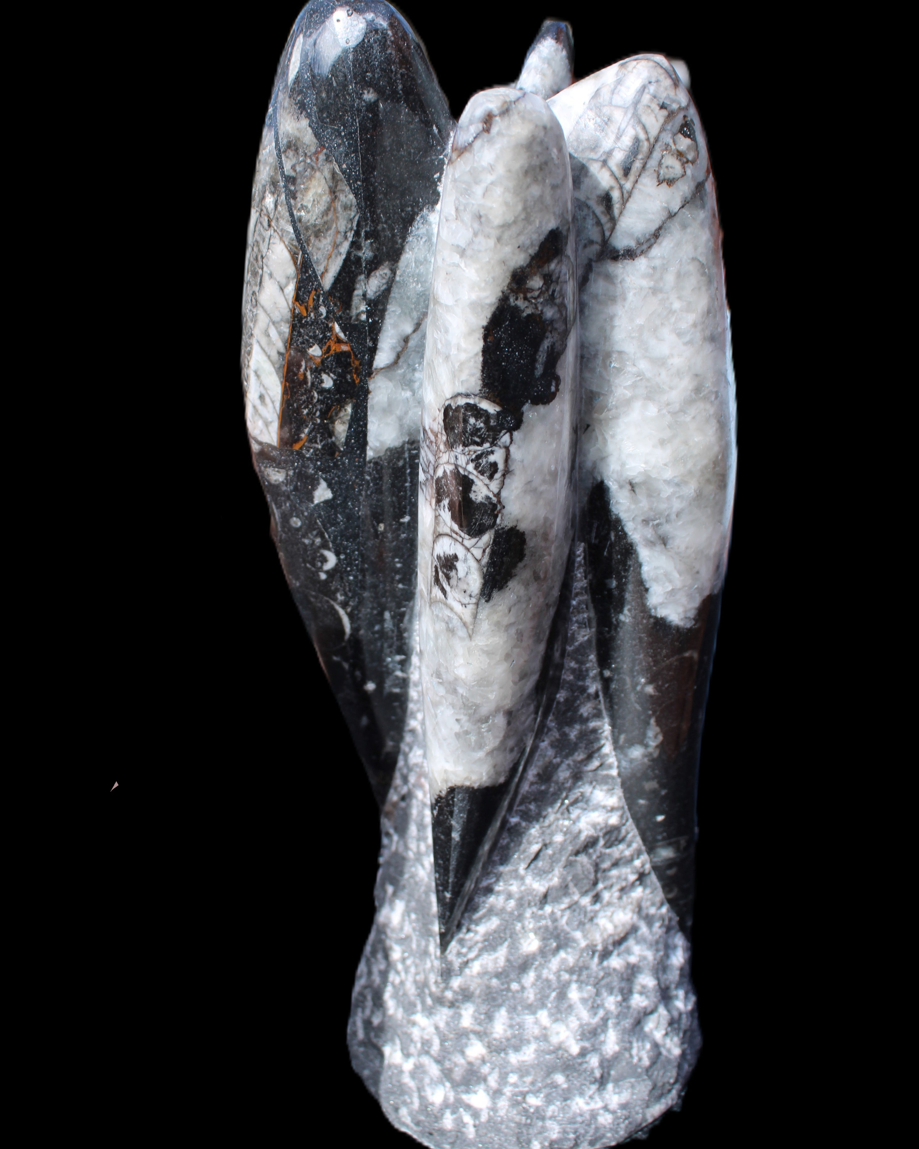 Orthoceras sculpture tower from Morocco 229*80mm 2313g in sunlight - Rocks and Things Store