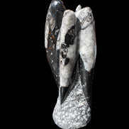 Orthoceras sculpture tower from Morocco 229*80mm 2313g in sunlight - Rocks and Things Store