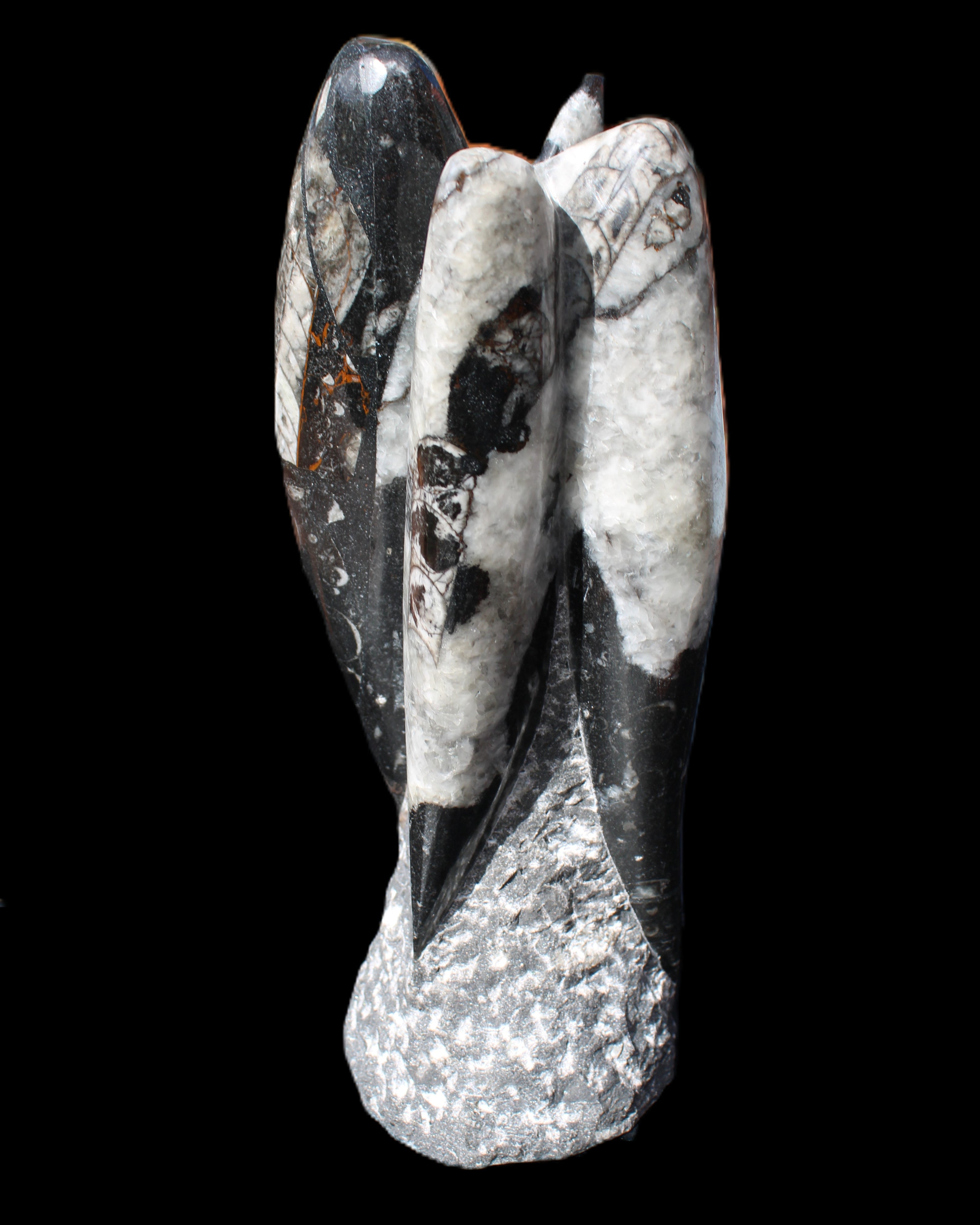 Orthoceras sculpture tower from Morocco 229*80mm 2313g in sunlight - Rocks and Things Store