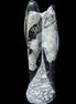 Orthoceras sculpture tower from Morocco 229*80mm 2313g in sunlight - Rocks and Things Store