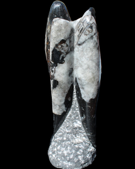 Orthoceras sculpture tower from Morocco 229*80mm 2313g in sunlight - Rocks and Things Store