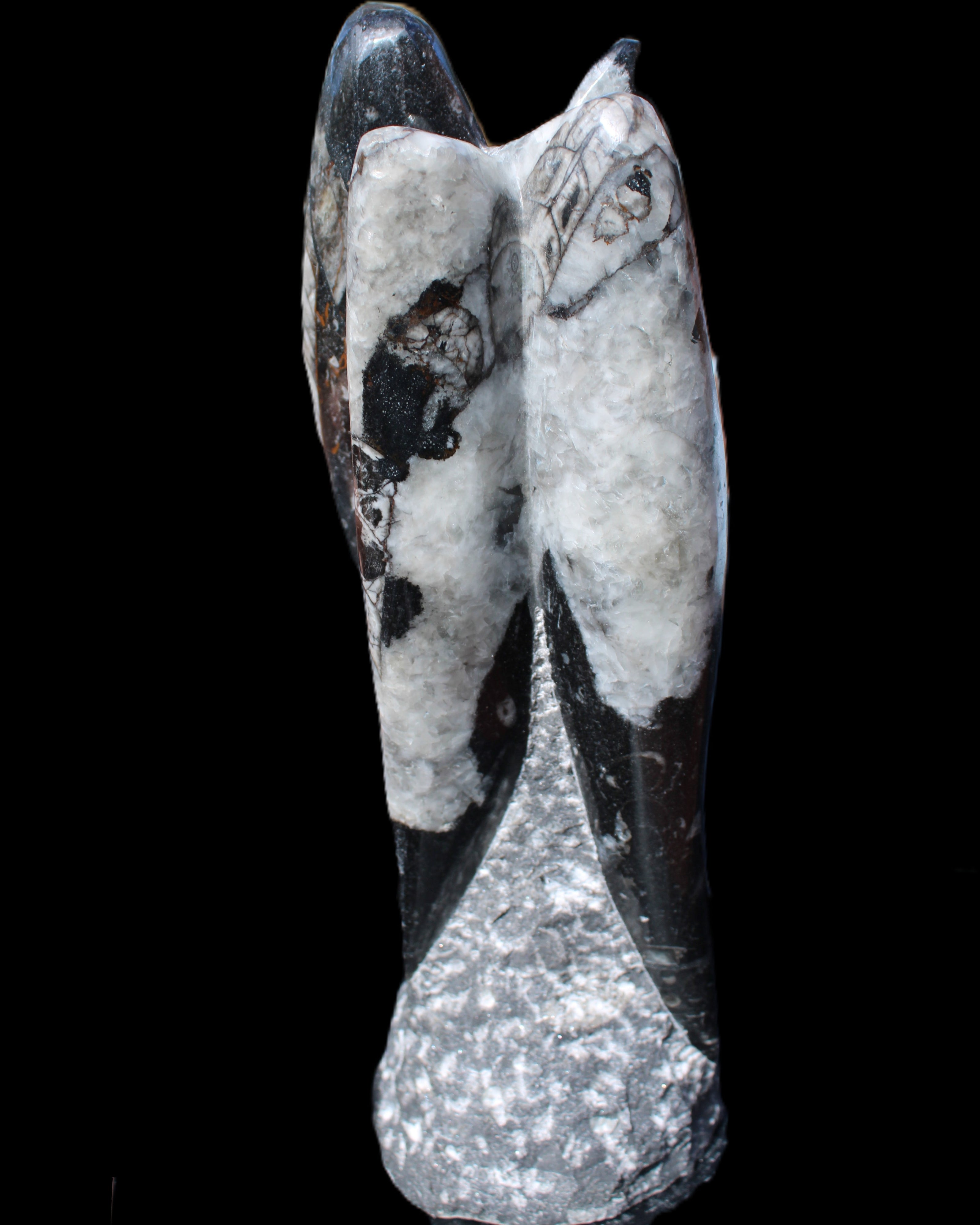 Orthoceras sculpture tower from Morocco 229*80mm 2313g in sunlight - Rocks and Things Store