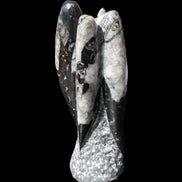 Orthoceras sculpture tower from Morocco 229*80mm 2313g in sunlight - Rocks and Things Store