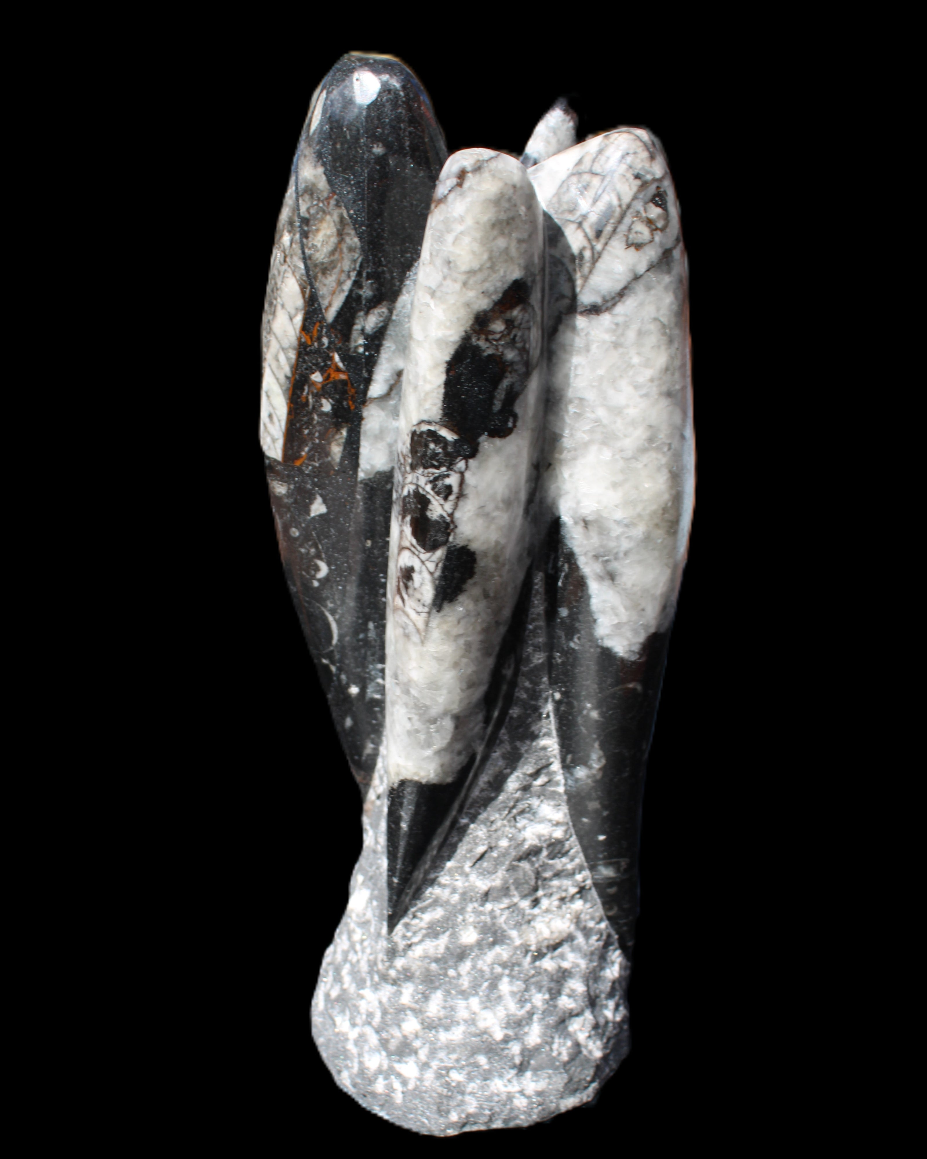 Orthoceras sculpture tower from Morocco 229*80mm 2313g in sunlight - Rocks and Things Store