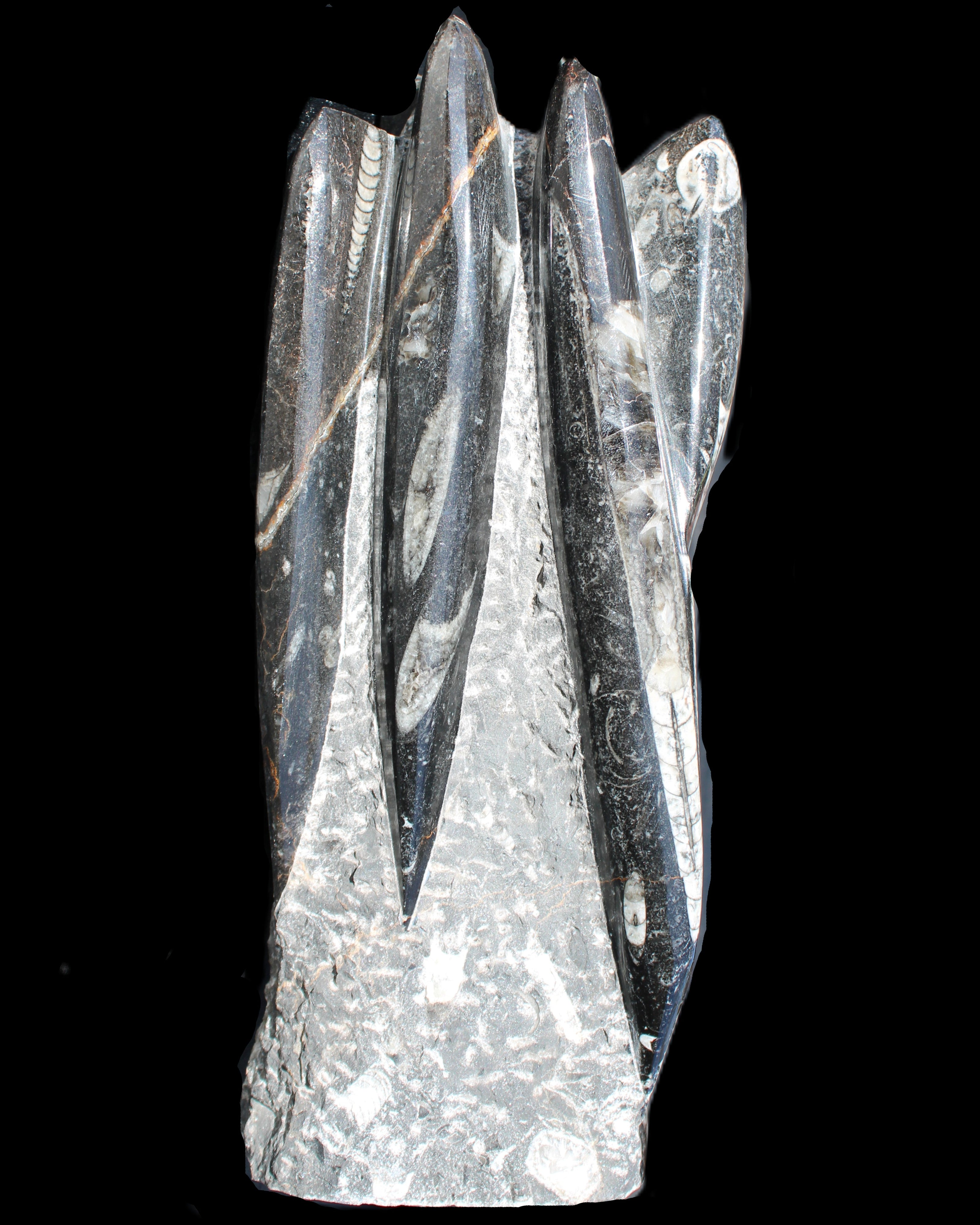Orthoceras sculpture tower from Morocco 213*80mm 1397g in sunlight - Rocks and Things Store