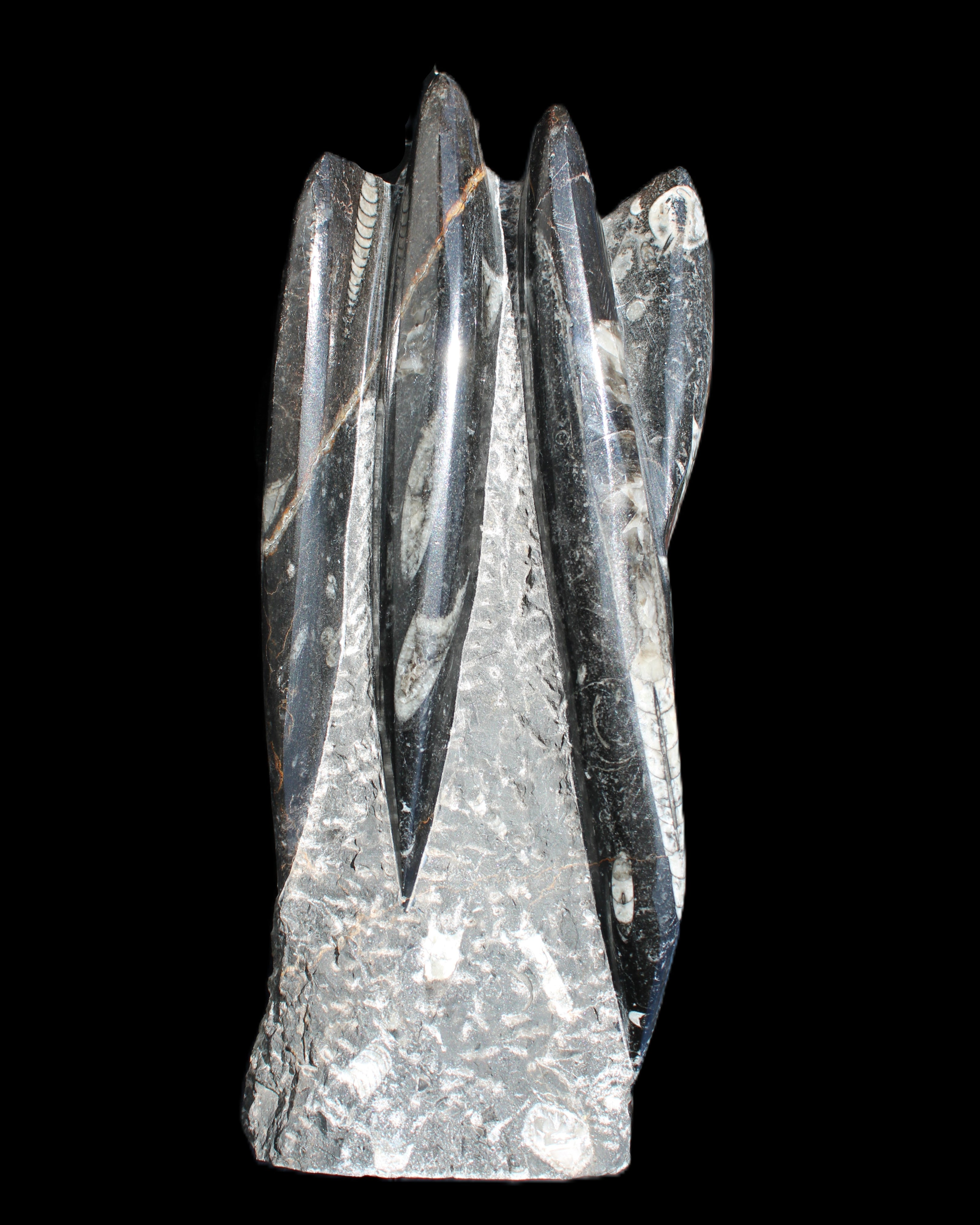Orthoceras sculpture tower from Morocco 213*80mm 1397g in sunlight - Rocks and Things Store