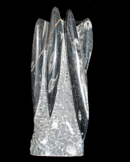 Orthoceras sculpture tower from Morocco 213*80mm 1397g in sunlight - Rocks and Things Store