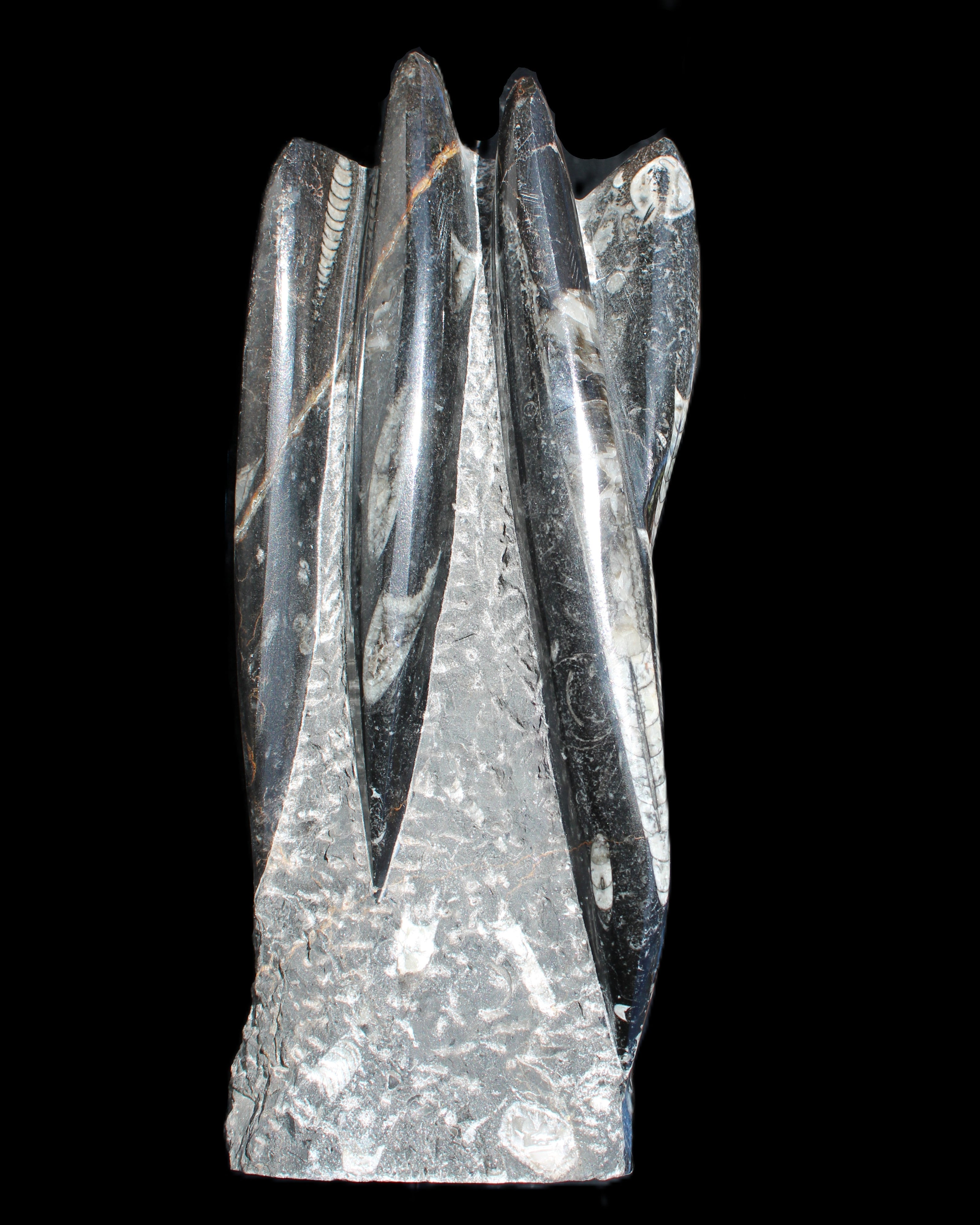 Orthoceras sculpture tower from Morocco 213*80mm 1397g in sunlight - Rocks and Things Store