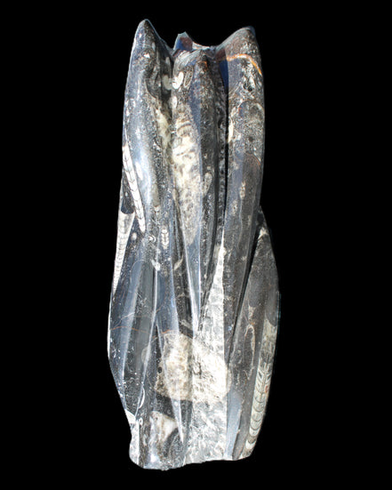 Orthoceras sculpture tower from Morocco 213*80mm 1397g in sunlight - Rocks and Things Store